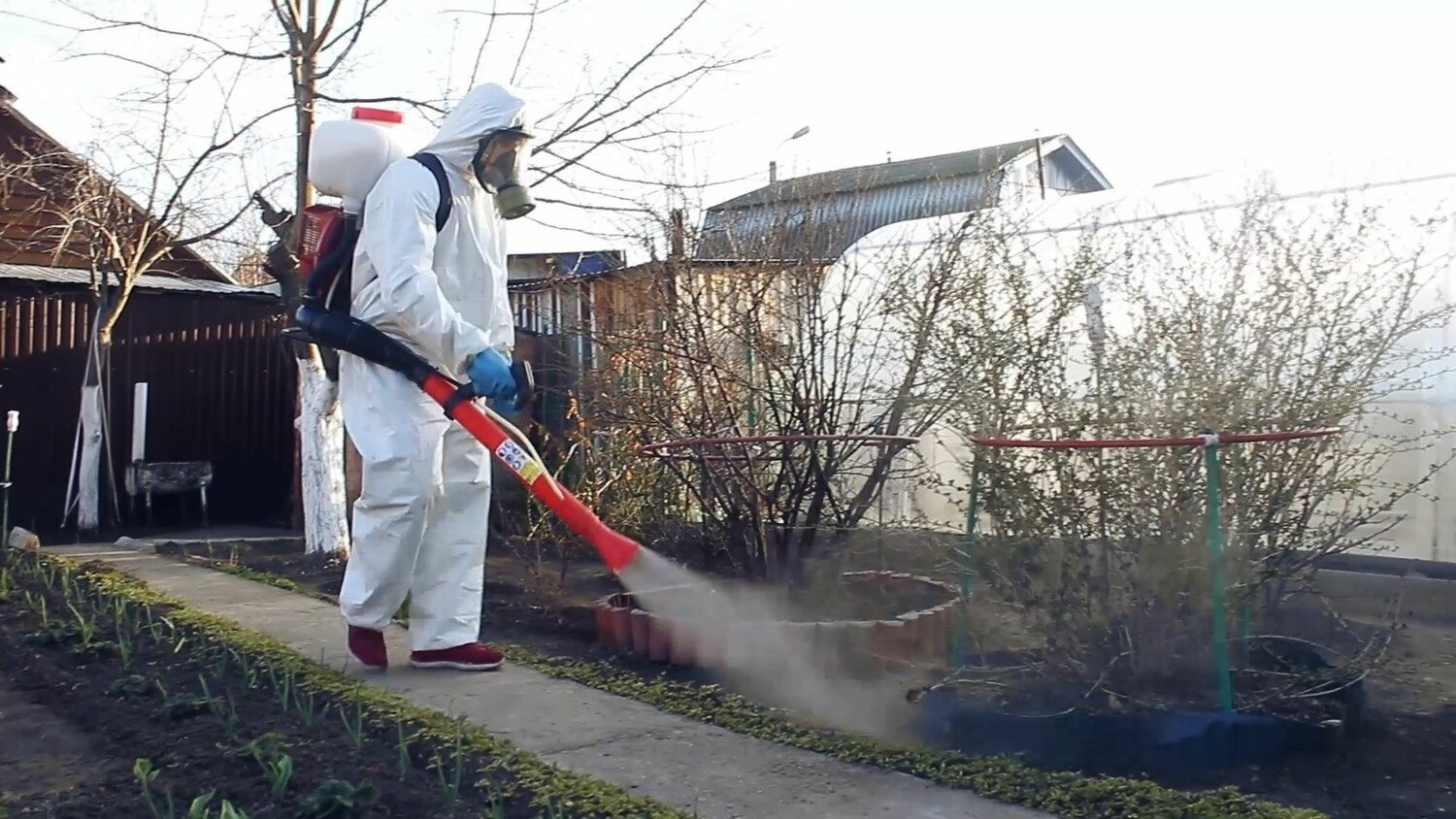 ФОТО Уничтожение муравьёв в рабочем поселке Московской области Менделеево