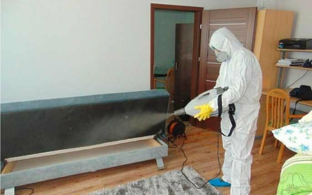 ФОТО Уничтожение блох в рабочем поселке Московской области Менделеево