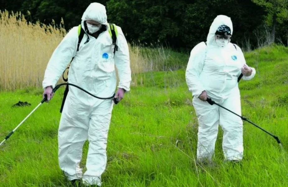 ФОТО Обработка от клещей в рабочем поселке Московской области Менделеево