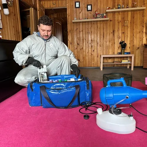 ФОТО Дератизация в рабочем поселке Московской области Менделеево