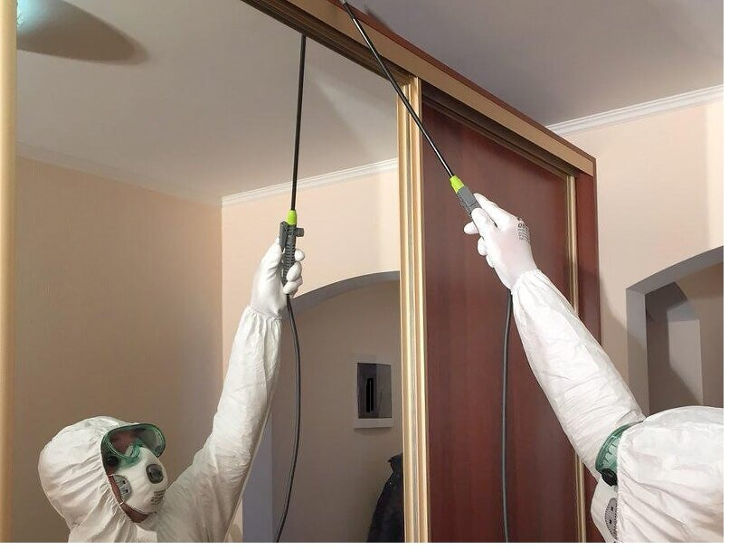 ФОТО Обработка от моли в рабочем поселке Московской области Менделеево