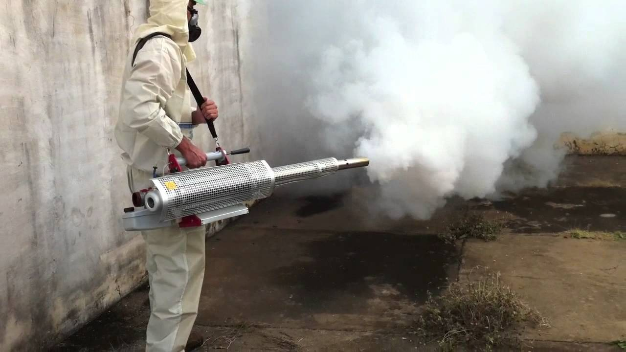 ФОТО Уничтожение мух в рабочем поселке Московской области Менделеево