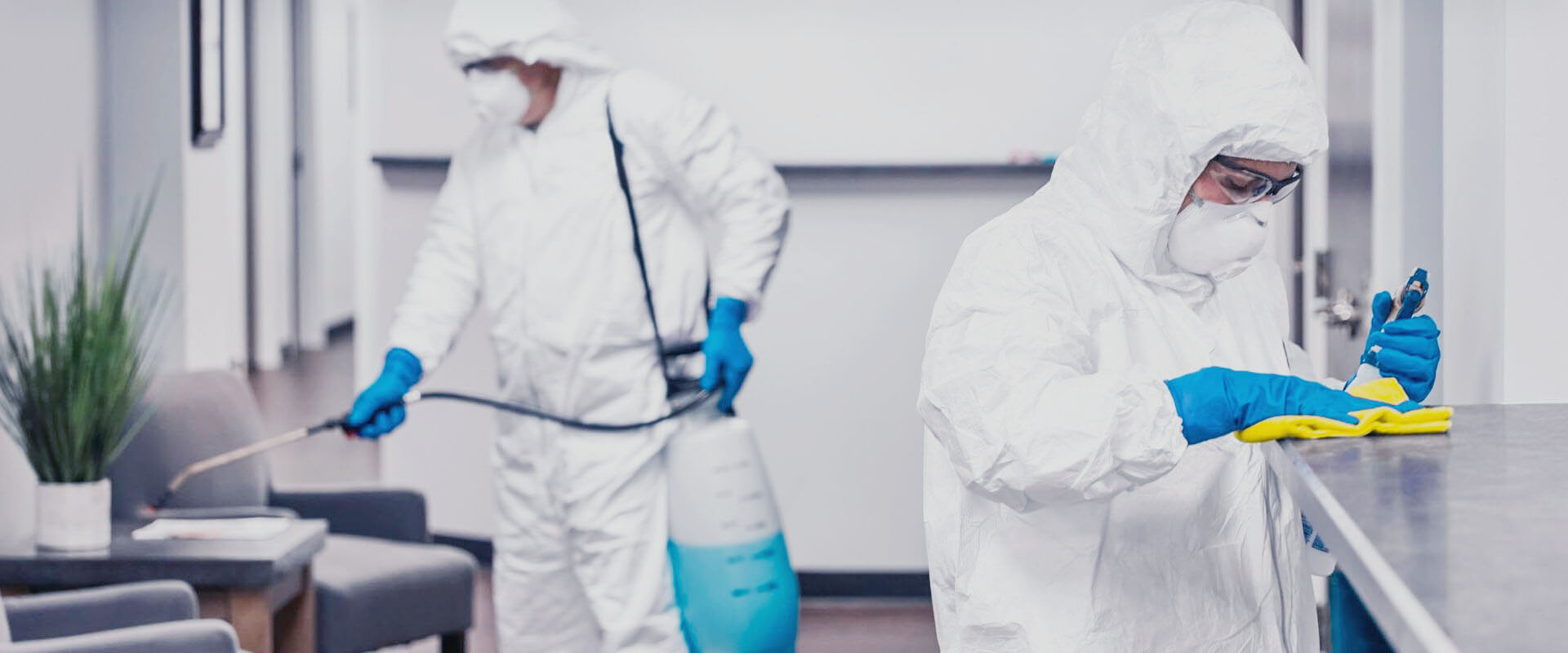 ФОТО В чем разница между дезинфекцией и дезинсекцией в рабочем поселке Московской области Менделеево? | подробно