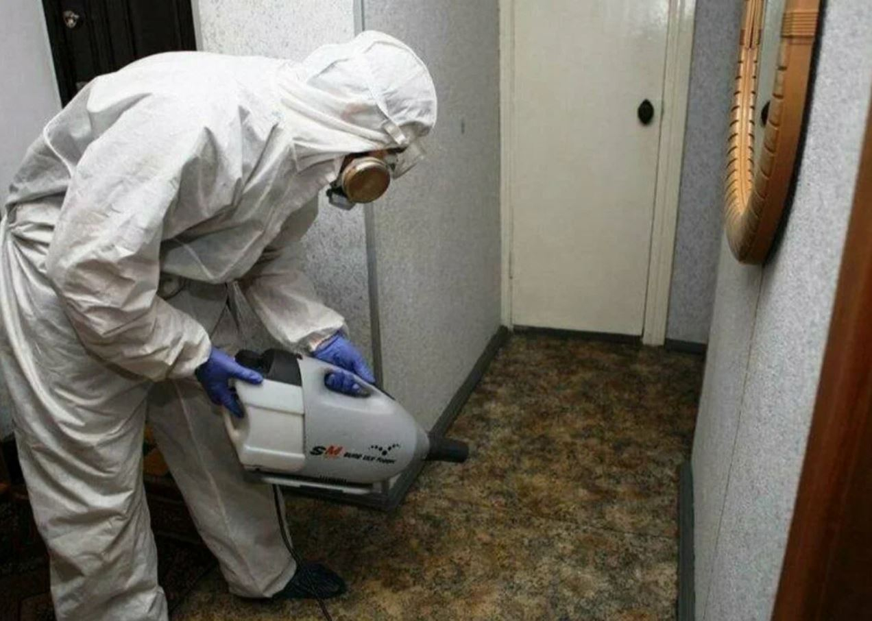 ФОТО Какие методы обработки для дезинсекции существуют в рабочем поселке Московской области Менделеево? | подробно