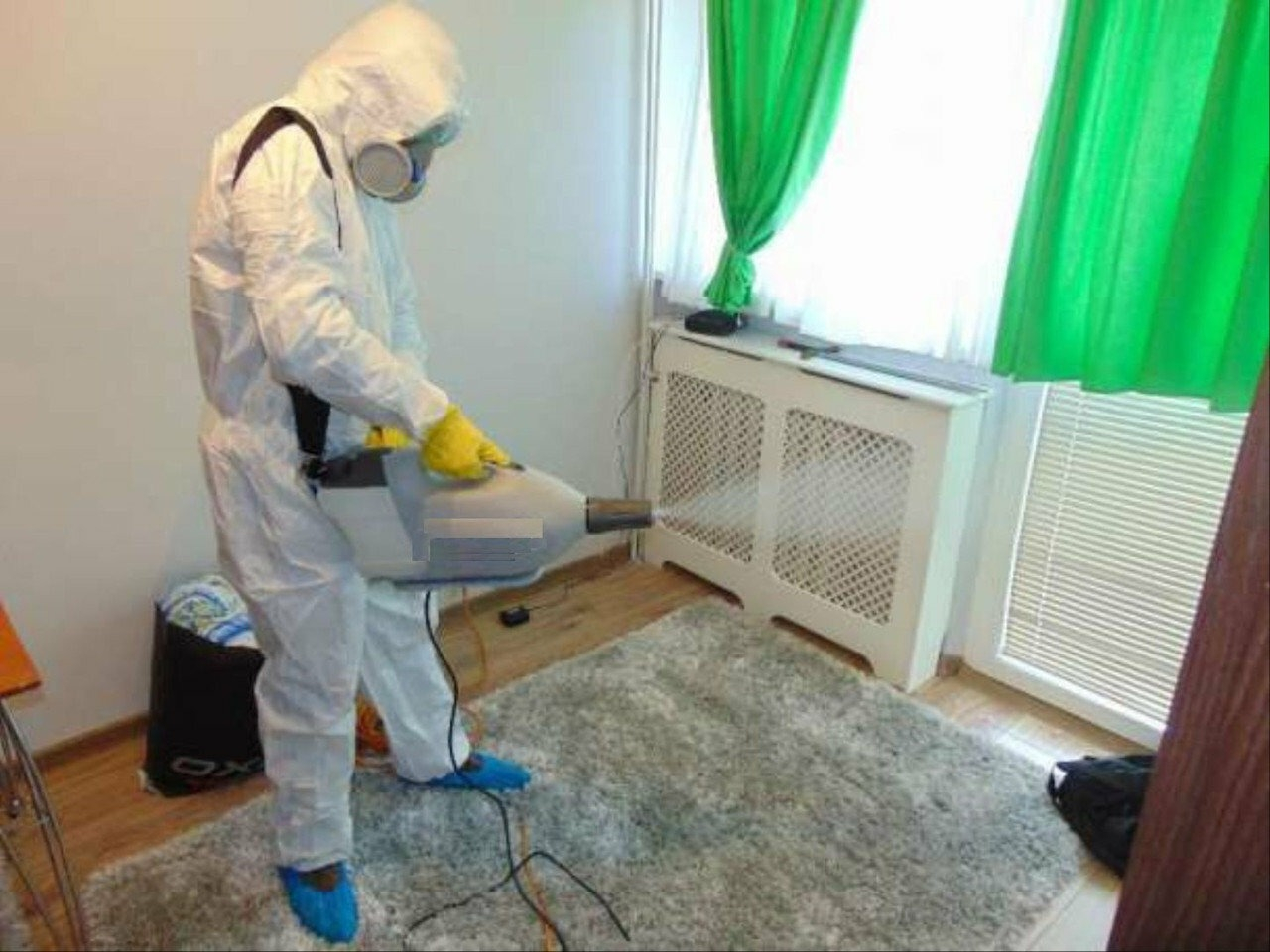 ФОТО Сколько времени занимает обработка при дезинсекции в рабочем поселке Московской области Менделеево? | подробно