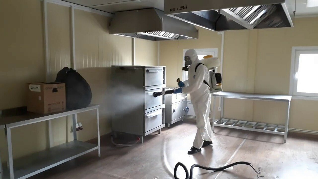 ФОТО Можно ли провести дезинсекцию самостоятельно и какие существуют риски в рабочем поселке Московской области Менделеево? | подробно