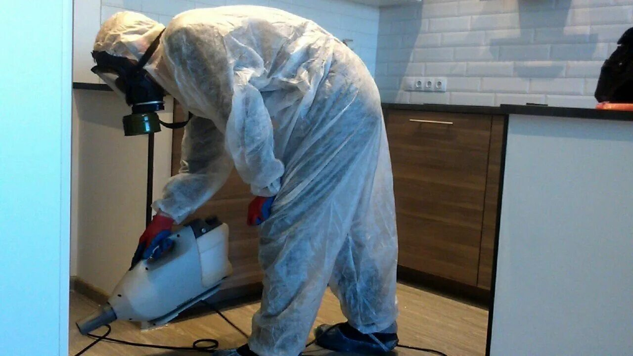 ФОТО Как подготовить домашних животных к обработке от насекомых в рабочем поселке Московской области Менделеево? | подробно