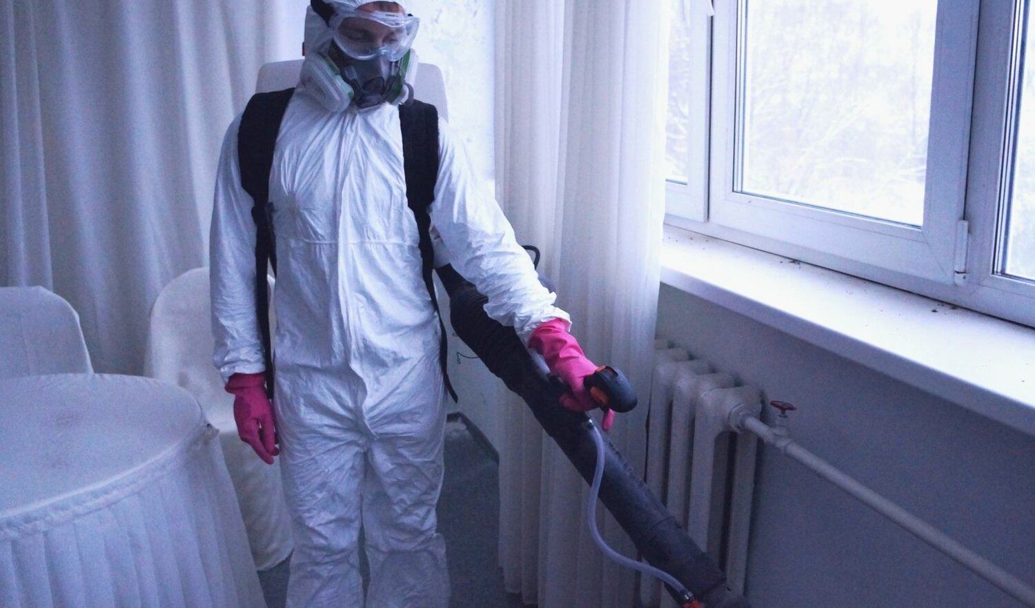 ФОТО Нужно ли выносить растения при дезинсекции в рабочем поселке Московской области Менделеево? | подробно