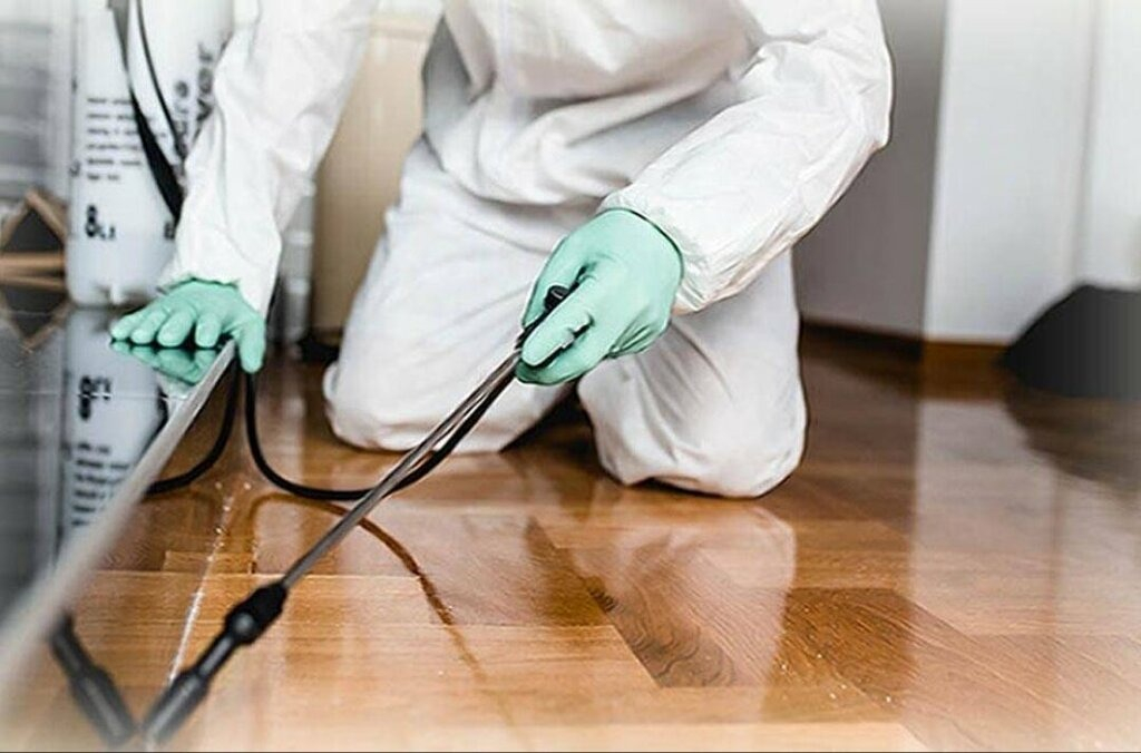 ФОТО Как подготовить вентиляцию при предстоящей дезинсекции в рабочем поселке Московской области Менделеево?