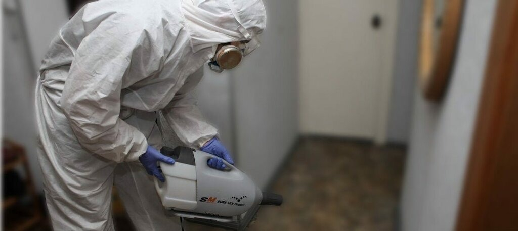 ФОТО Остаются ли следы после обработки квартиры от насекомых в рабочем поселке Московской области Менделеево? | подробно