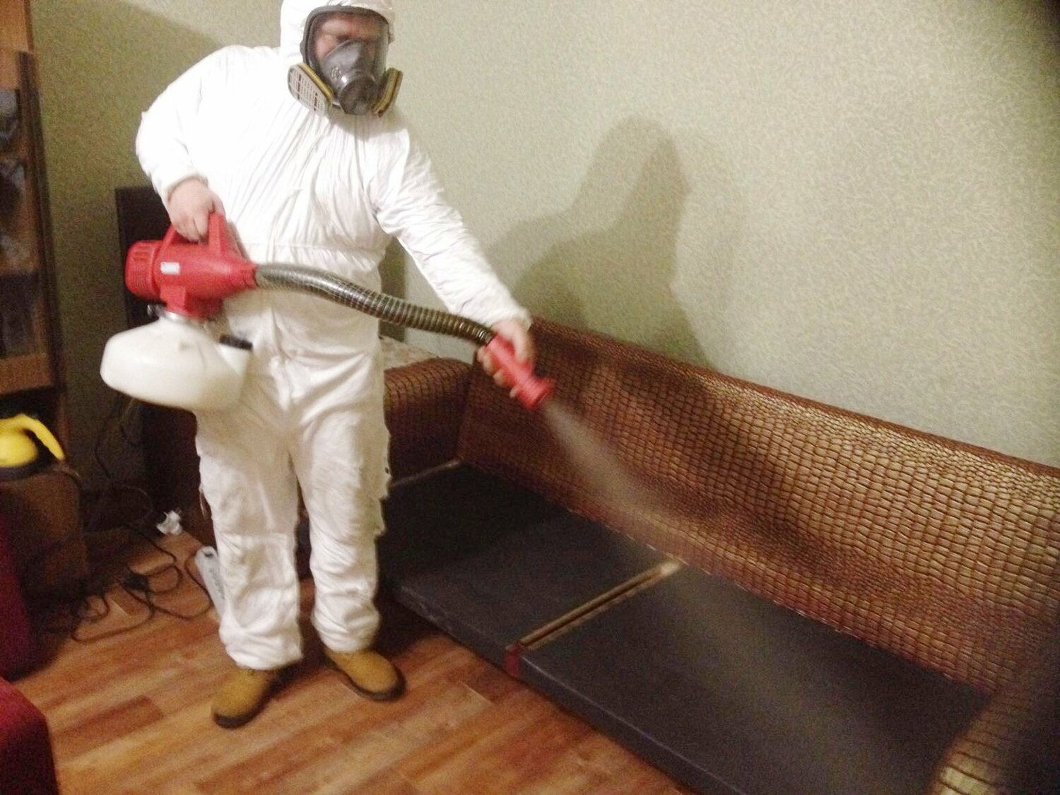 ФОТО Когда можно вернуться в помещение после дезинсекции в рабочем поселке Московской области Менделеево? | подробно