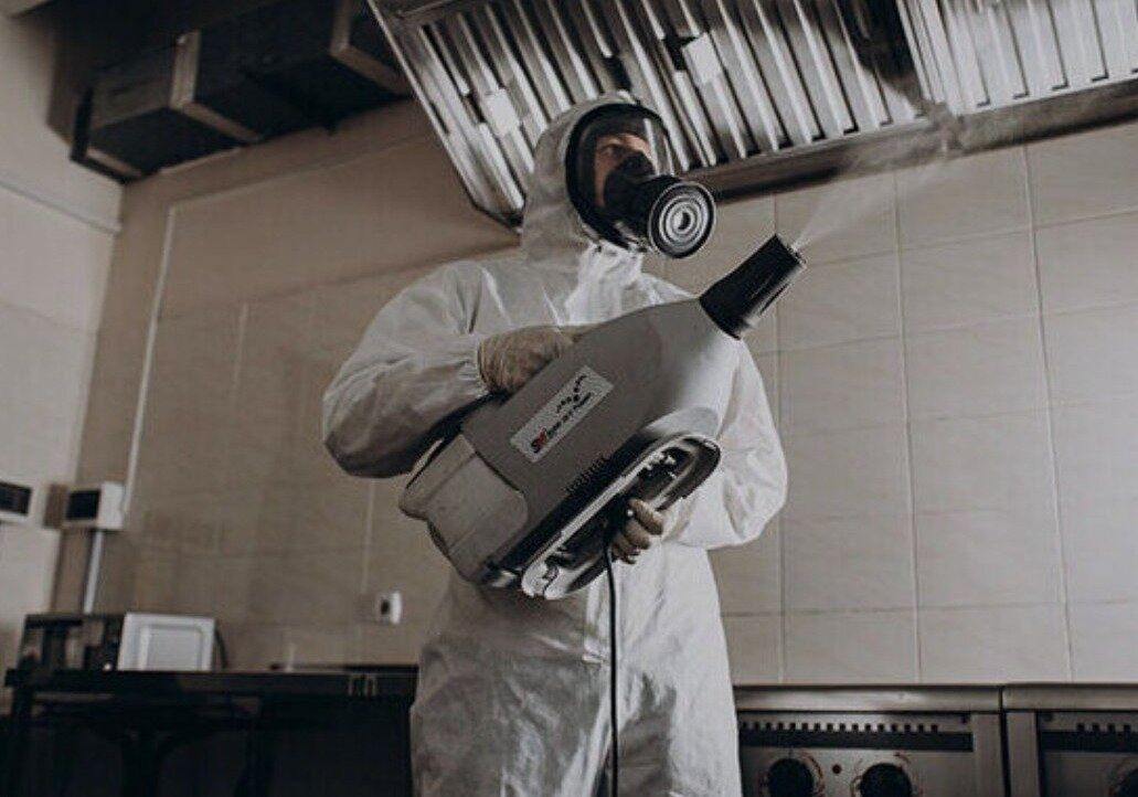 ФОТО Как проветривать помещение после обработки от насекомых в рабочем поселке Московской области Менделеево? | подробно