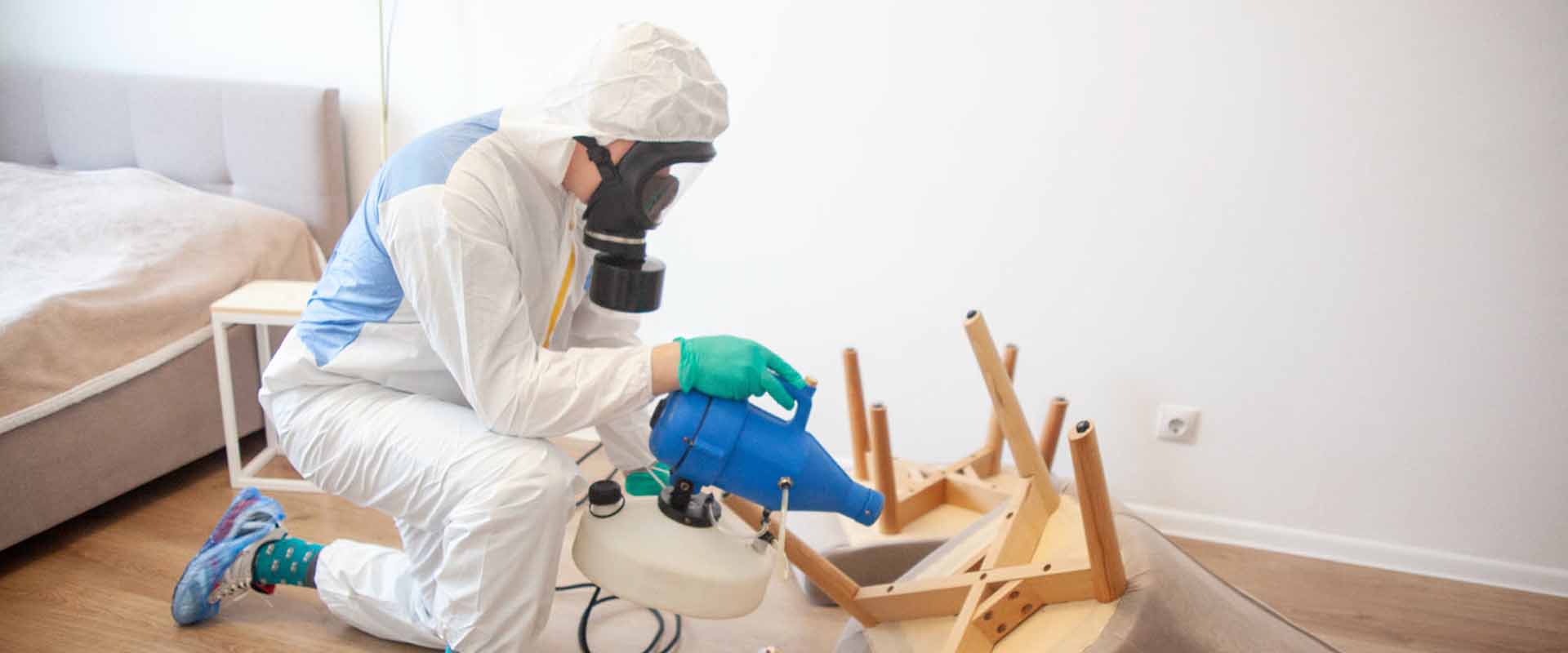 фото: Уничтожение постельных клопов с 1-го раза с гарантией за 30-60 мин. в рабочем поселке Московской области Менделеево без предоплаты