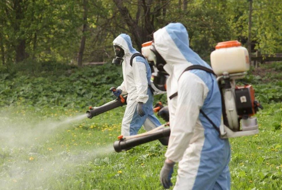 фото: Профессиональное уничтожение мух в рабочем поселке Московской области Менделеево: <br/>+7-909-173-42-96